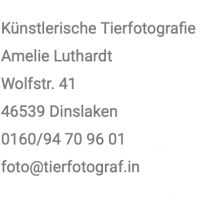 Impressum Impressum